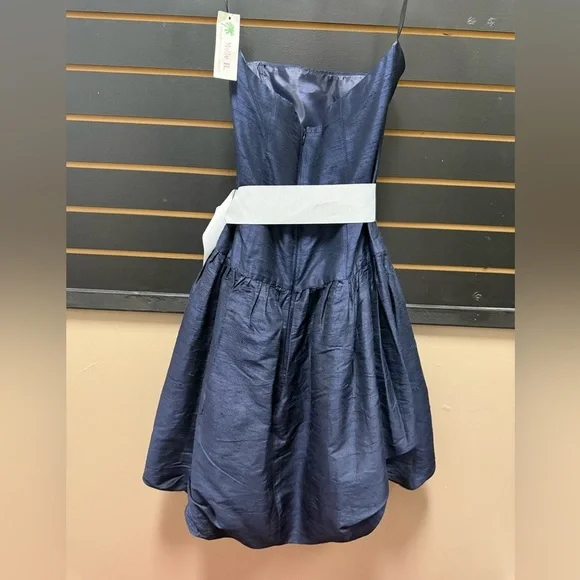 NWT Molly B Blue & White Silk Fit & Flare Dress 4 - Picture 3 of 4